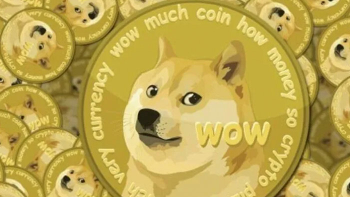 dove comprare dogecoin