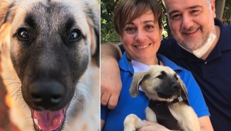 Benedetta Rossi: è il compleanno del cane Cloud