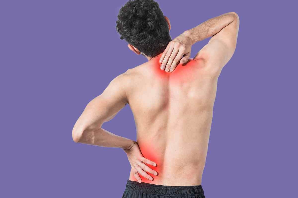 esercizi per il mal di schiena 