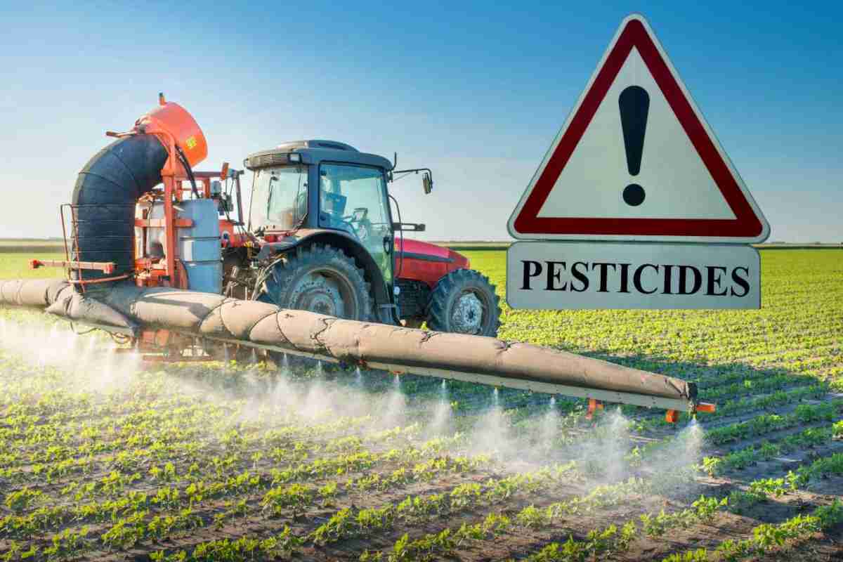 Fragole piene di pesticidi rimedi