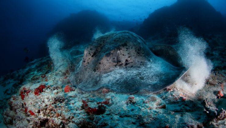 il vulcano che aiuta a studiare i mondi alieni