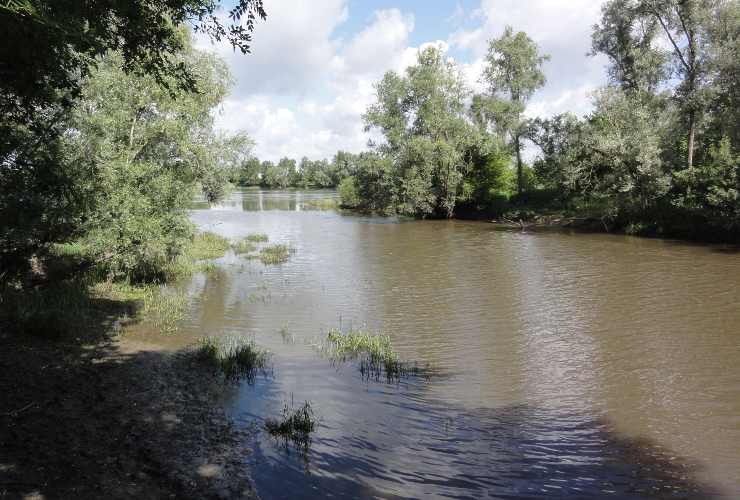 Trascorre 30 minuti sott'acqua e si salva