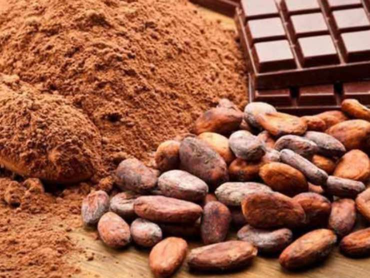 Il cacao amaro contro la glicemia