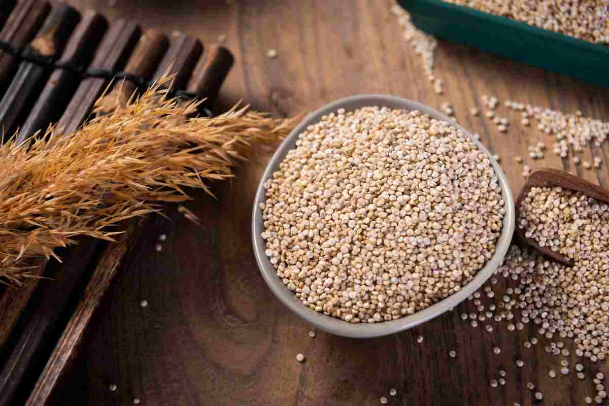 Prezzo del grano: come inciderà sul costo della pasta