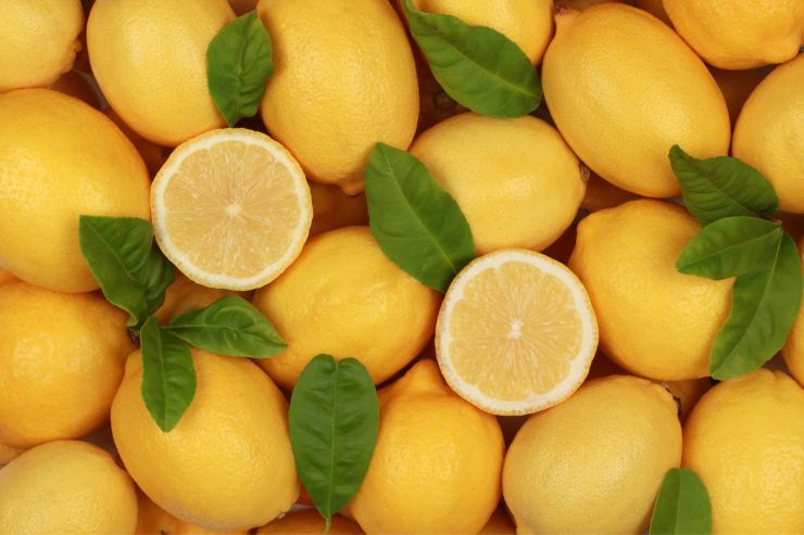 rimedio anti zanzara limoni avanzati