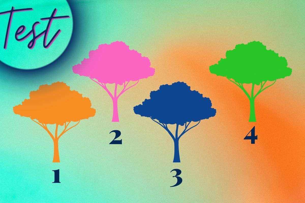 Test psicologico: scegli un albero e scopri l'emozione che domina nella tua vita