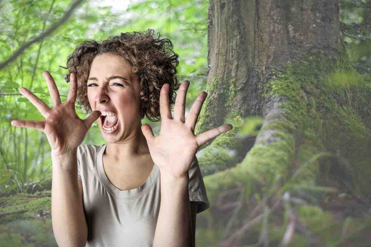 l'albero della morte può uccidere