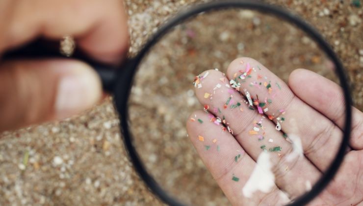 microplastiche trovate nel cuore umano