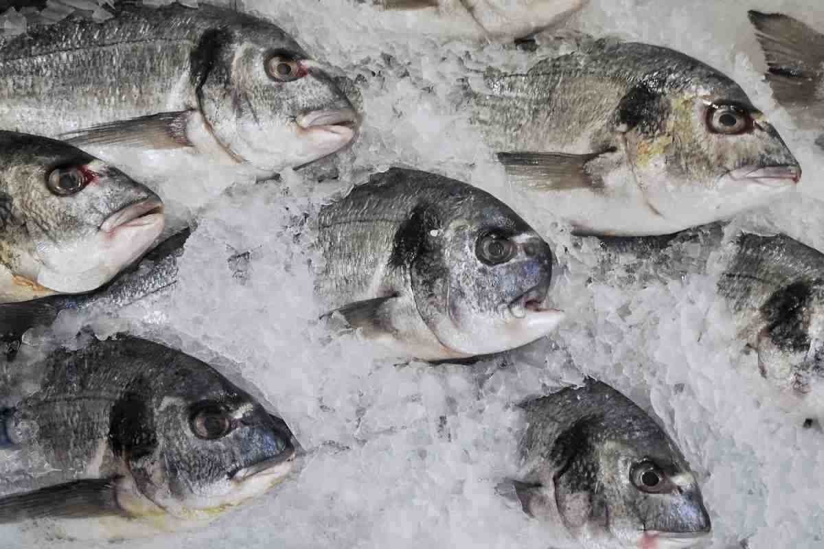 Allarme pesce: come scongelarlo