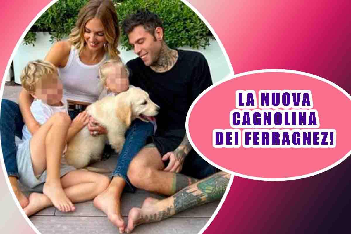 Nuovo arrivo in casa Ferragnez: la cagnolina Paloma