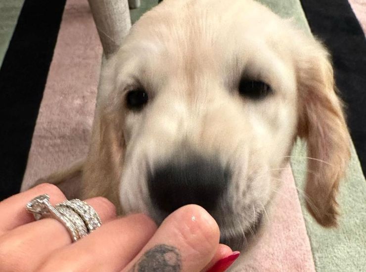 In casa Ferragni arriva una cagnolina