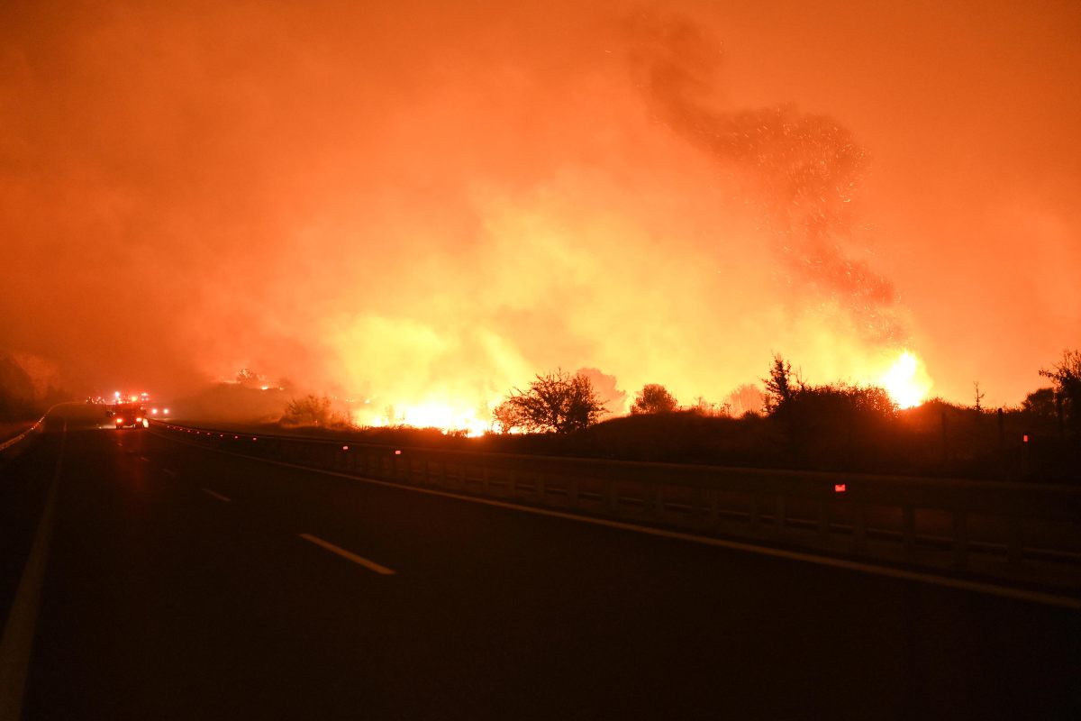 Fiamme nella notte greca - lintellettualedissidente.it Ansafoto