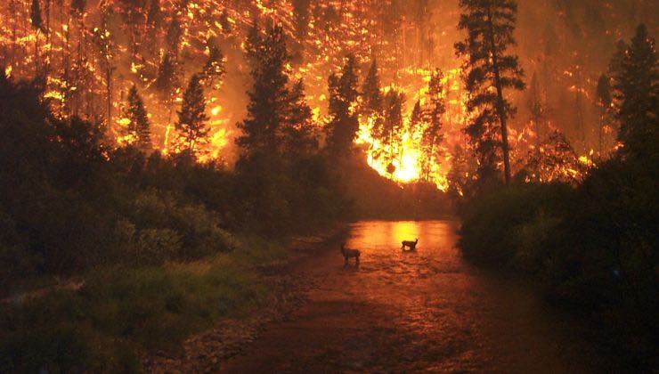 le condanne mai avvenute per gli incendi