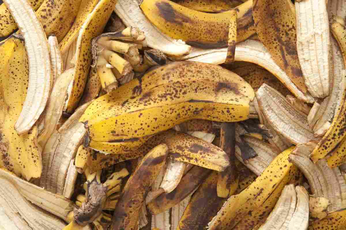 Le bucce di banana: come riciclarle