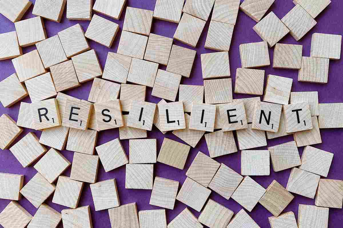 resilienza che cosa vuol dire 