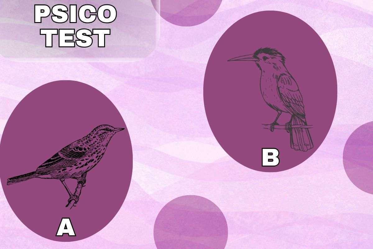 test di personalità uccellini