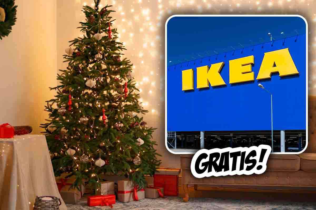 Albero vero gratis da Ikea