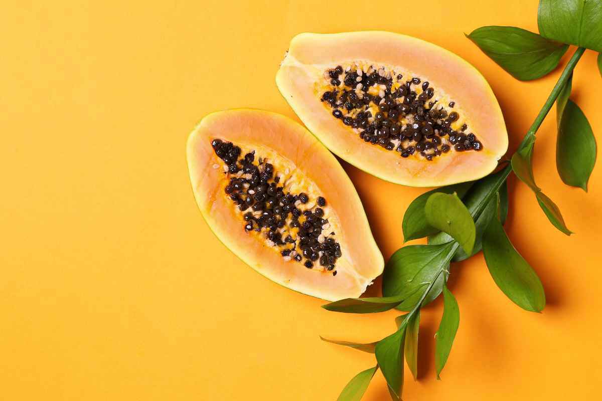 la papaya è un cibo nootropico