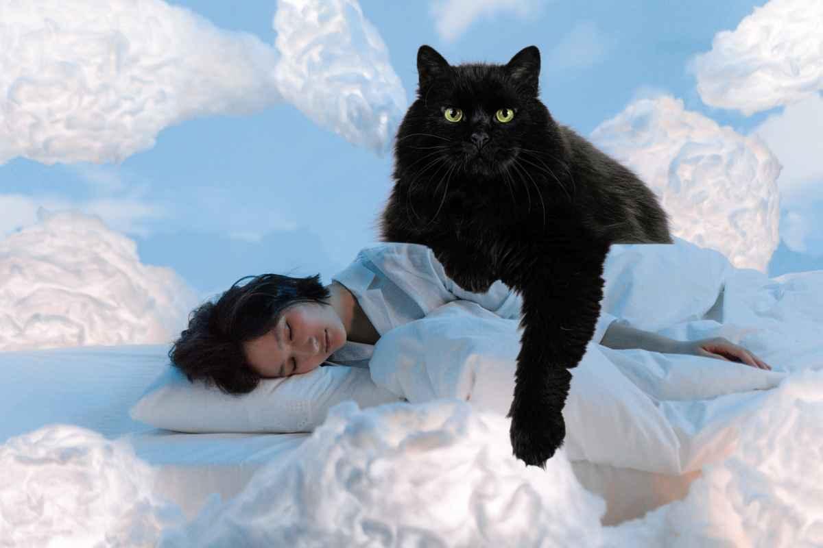 cosa significa sognare un gatto nero