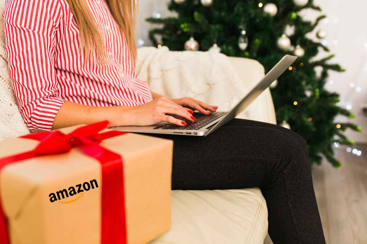 donna al pc con pacco e albero di Natale