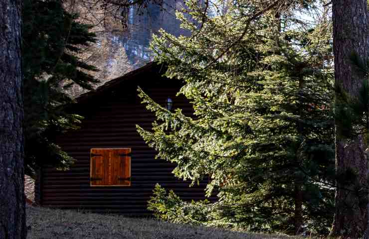 Abitazione in un bosco con finestra chiusa