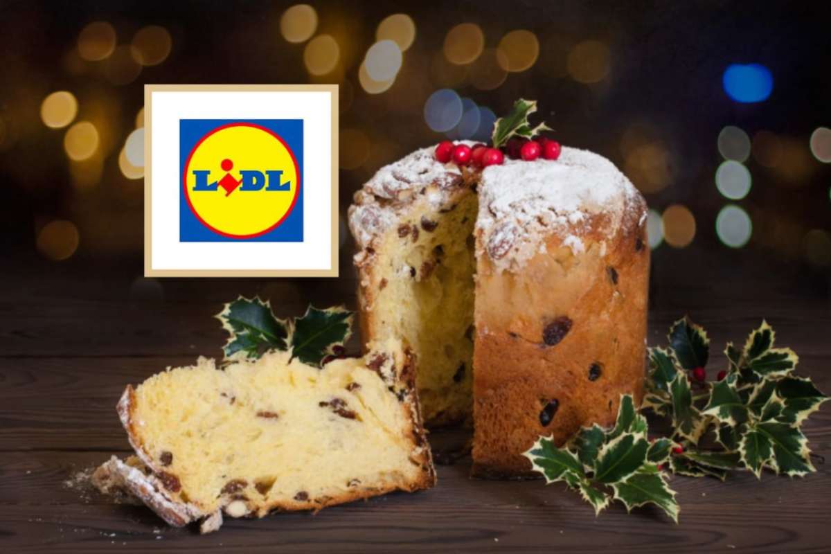 panettone circondato dal vischio e logo lidl